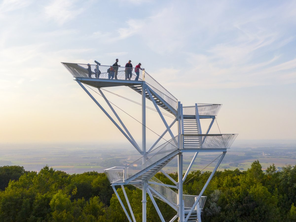 THE LOOKOUT TOWER